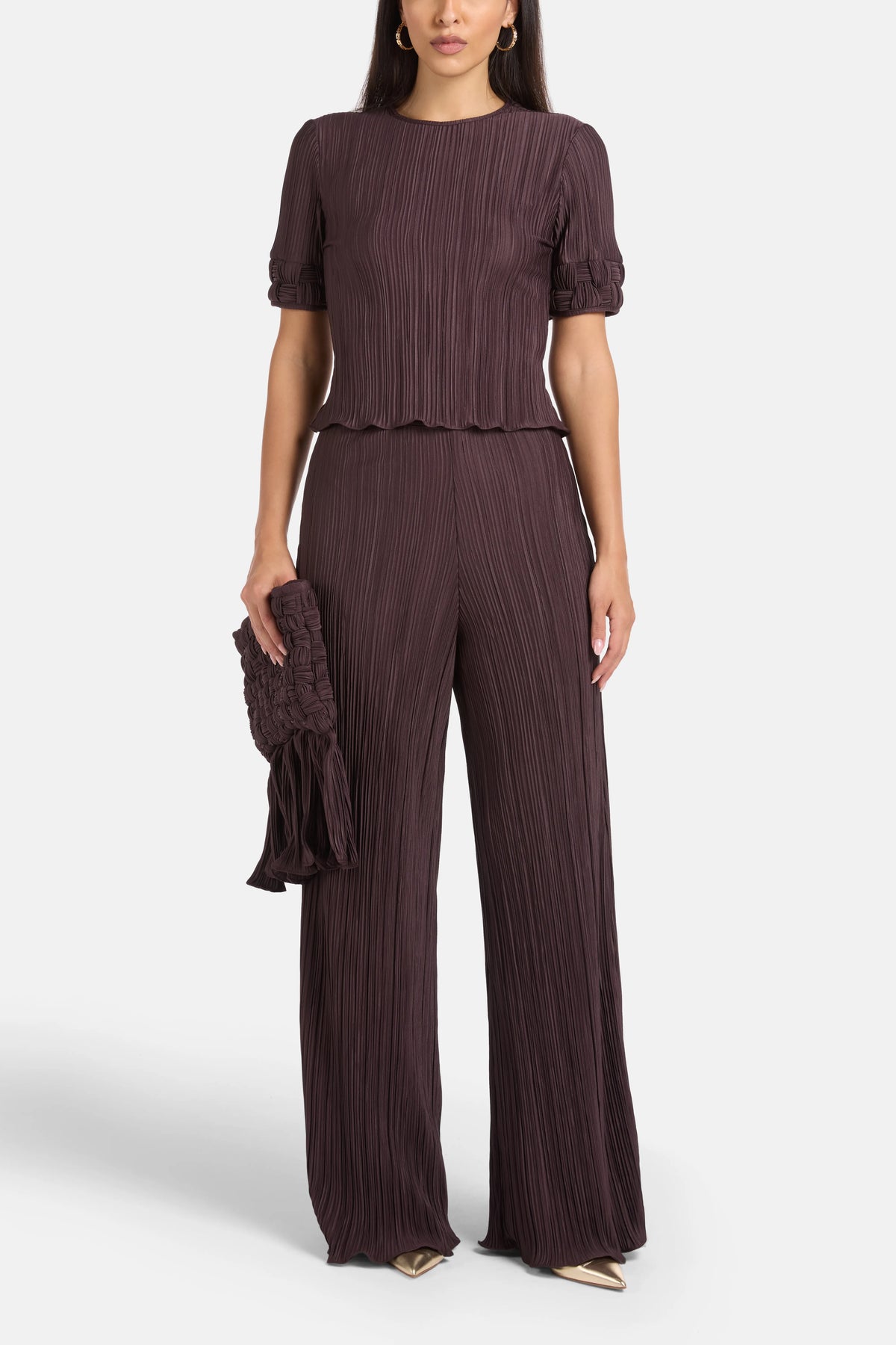 Choza Pleated Wide Legged Pants in Brown