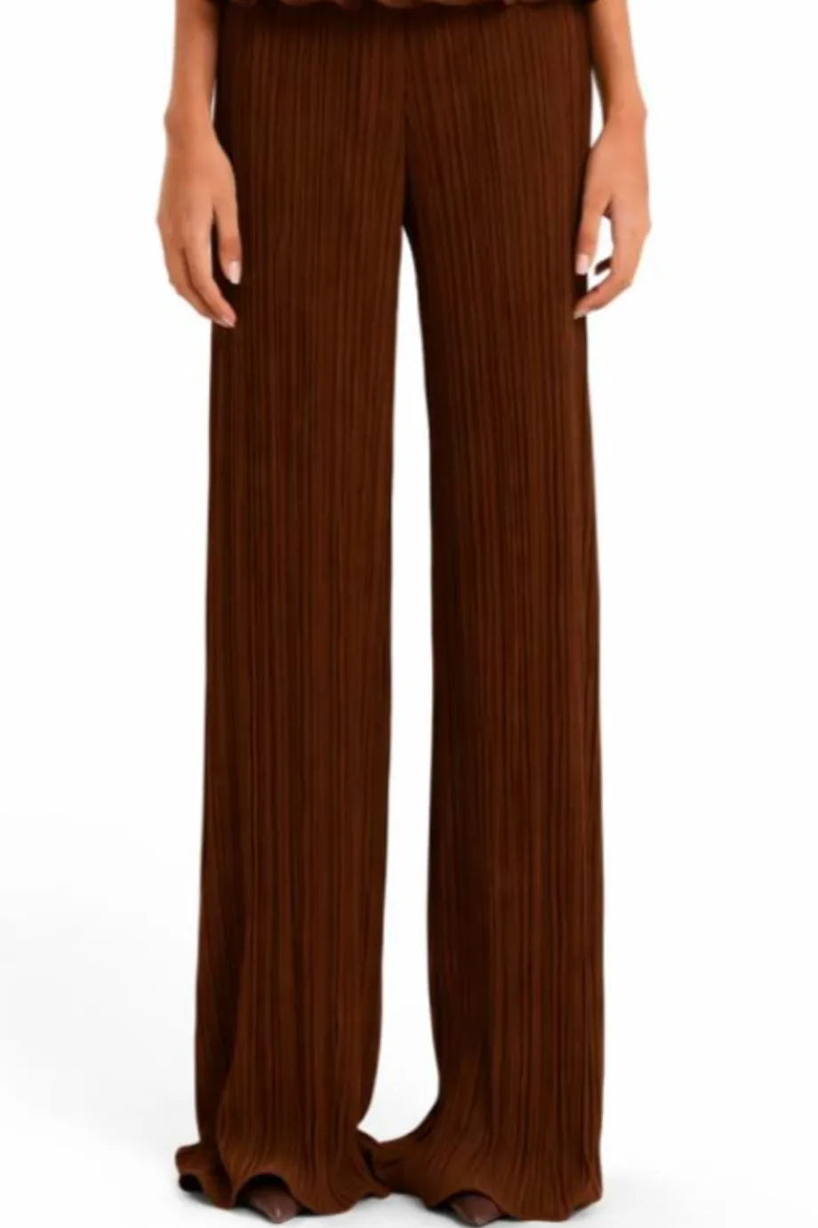 Choza Pleated Wide Legged Pants in Brown