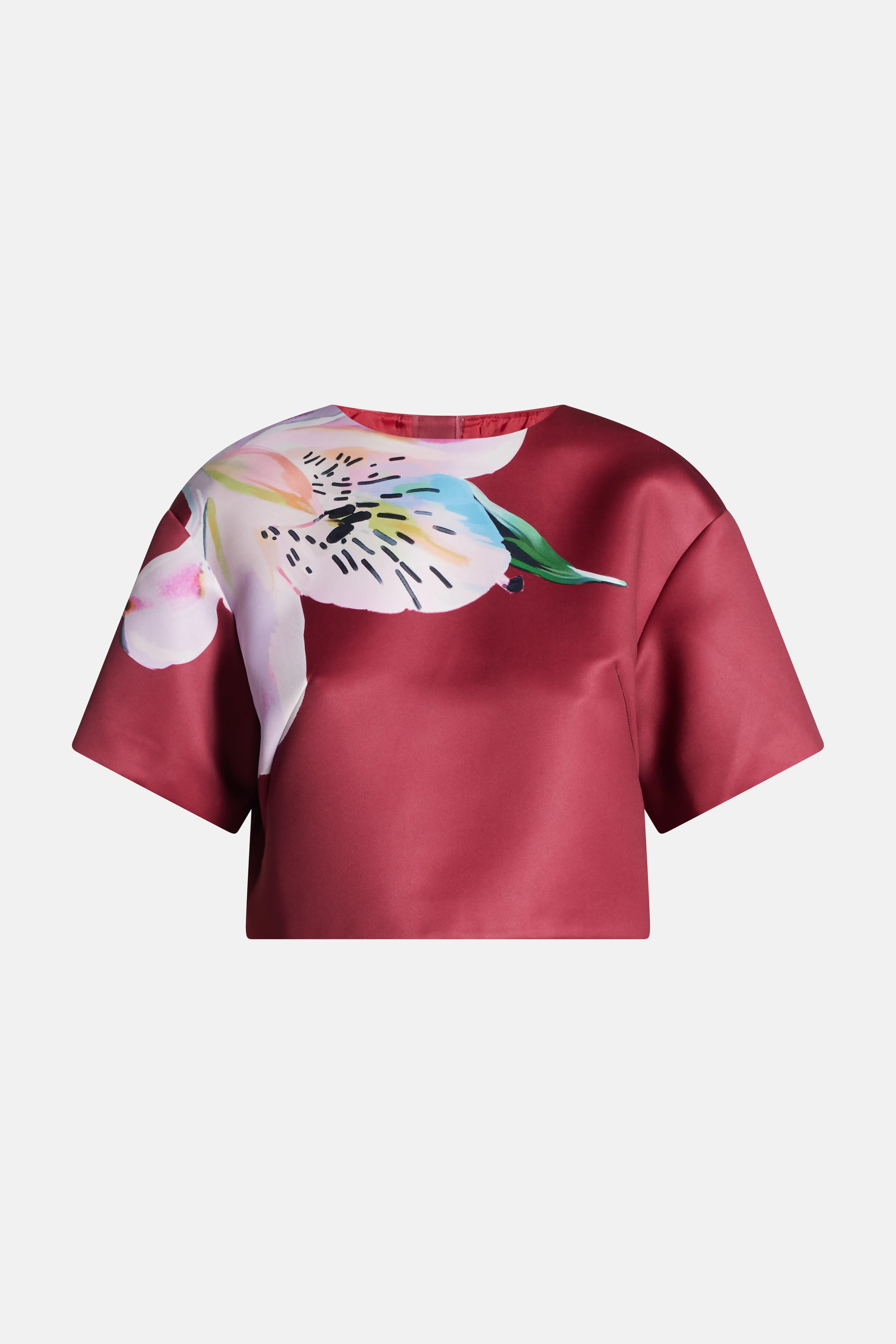 Indie Short Sleeve Crop Top In Burgundy