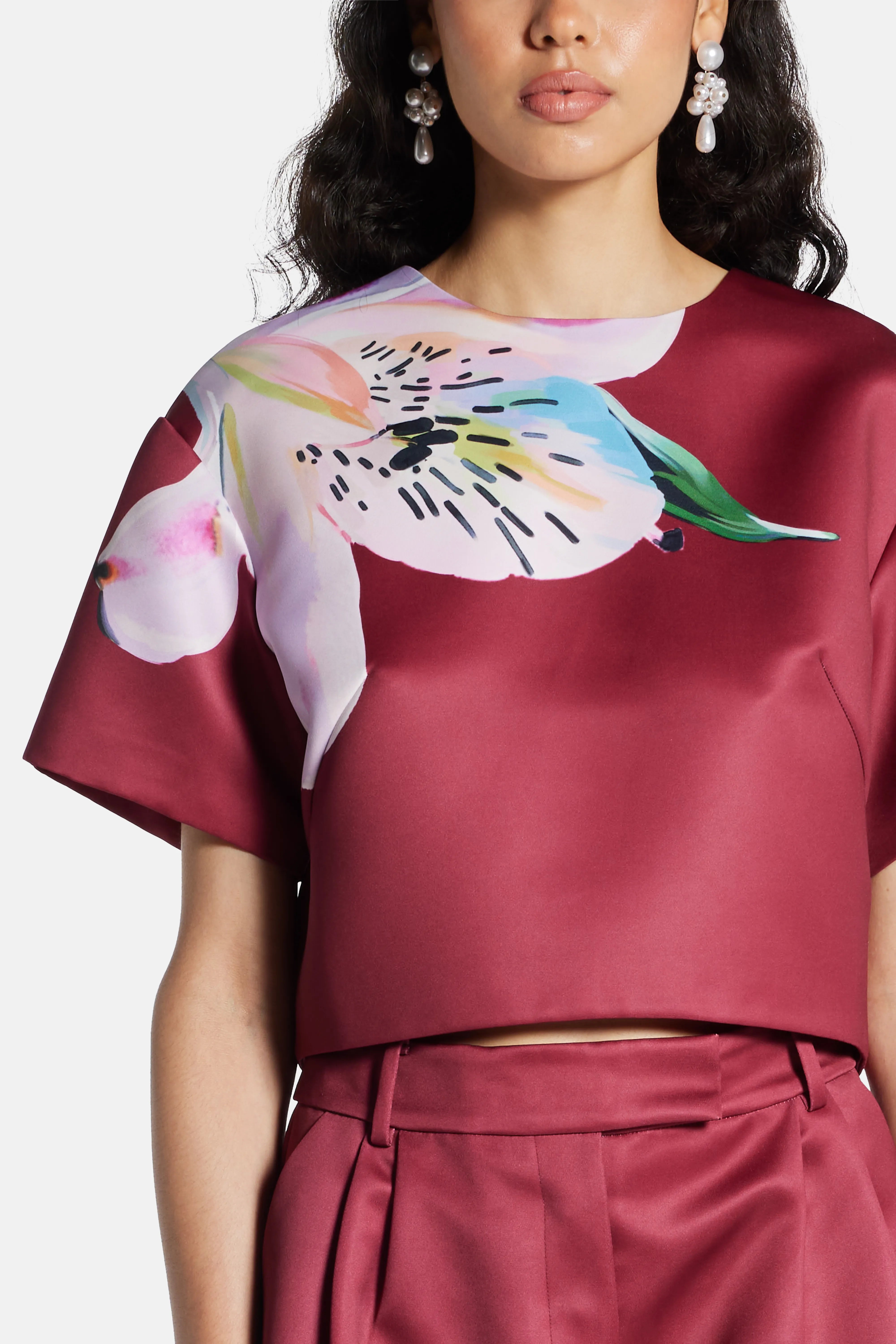 Indie Short Sleeve Crop Top In Burgundy