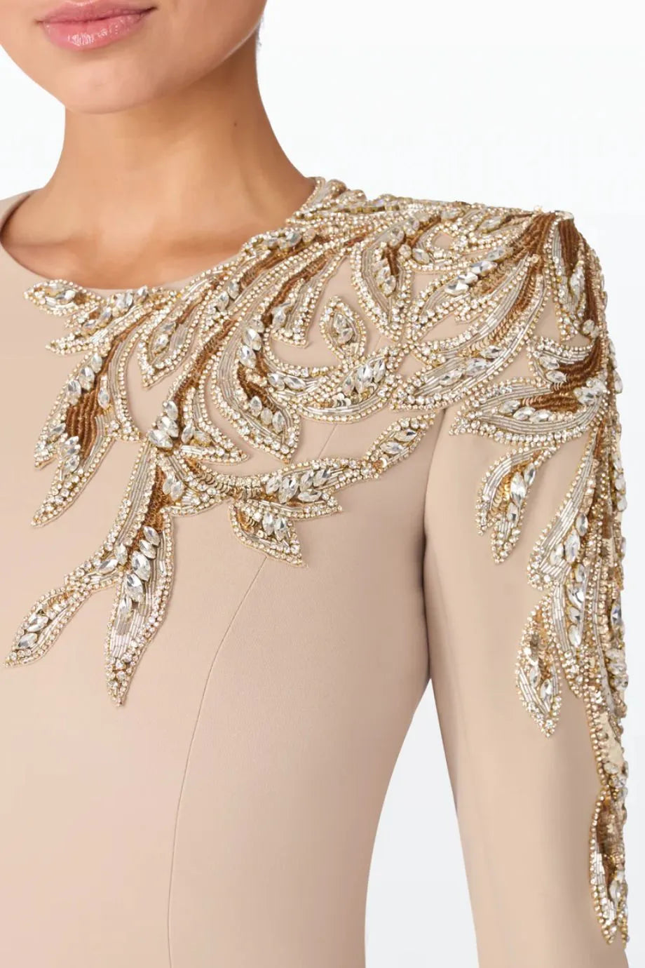 Honor Embellished Neck and Sleeves Evening Gown in Beige