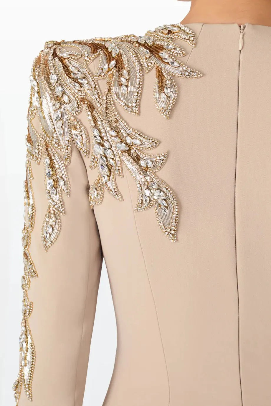 Honor Embellished Neck and Sleeves Evening Gown in Beige