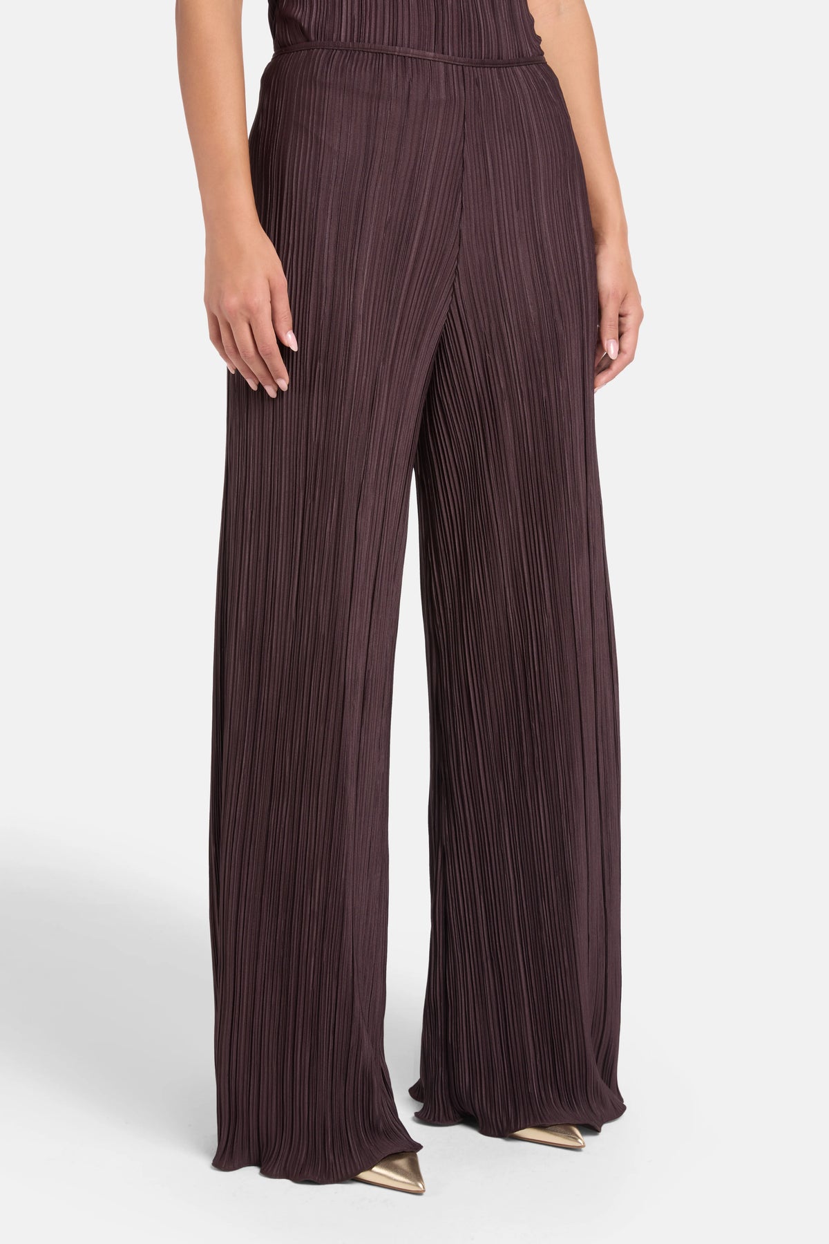 Choza Pleated Wide Legged Pants in Brown
