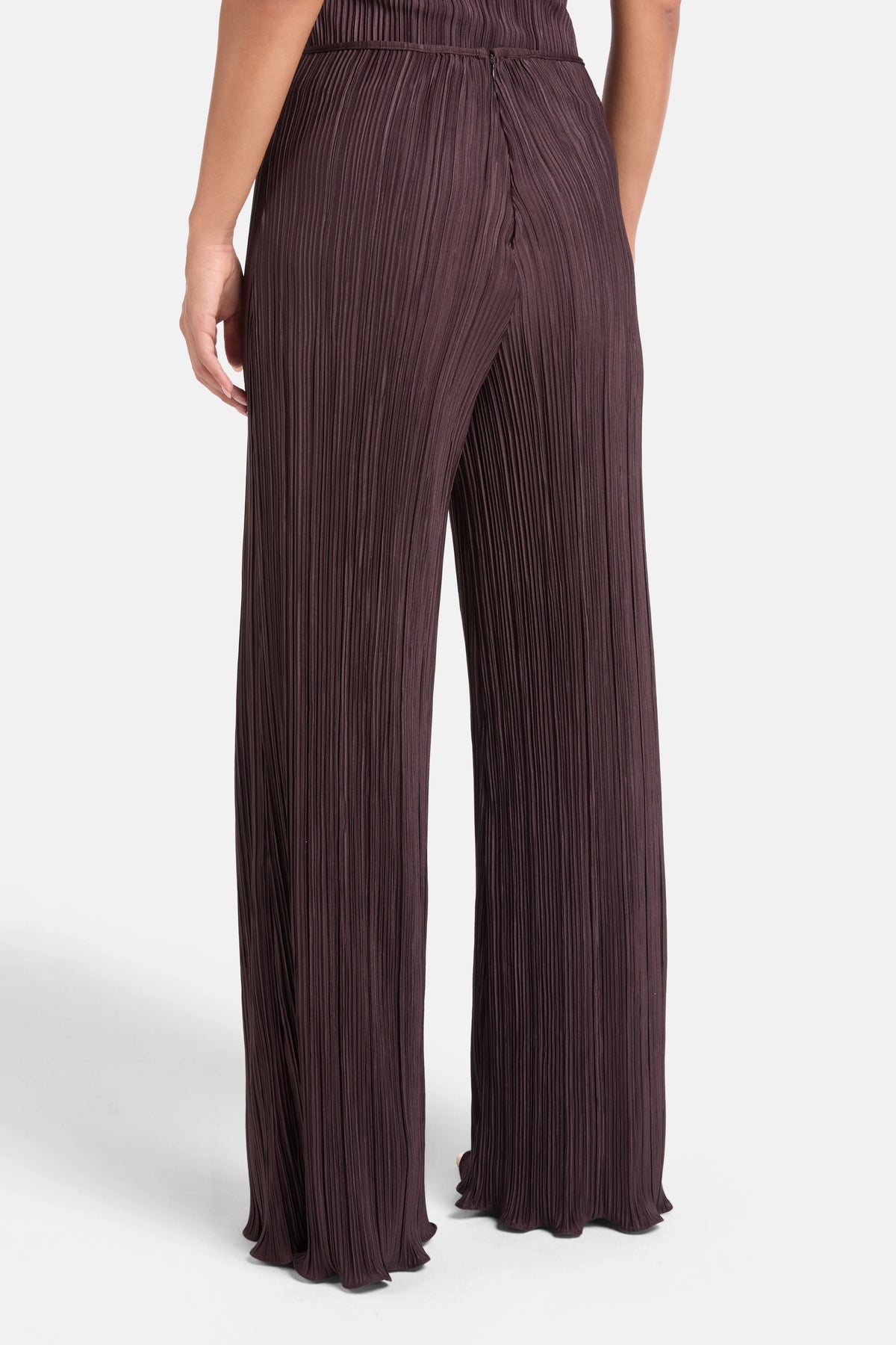 Choza Pleated Wide Legged Pants in Brown