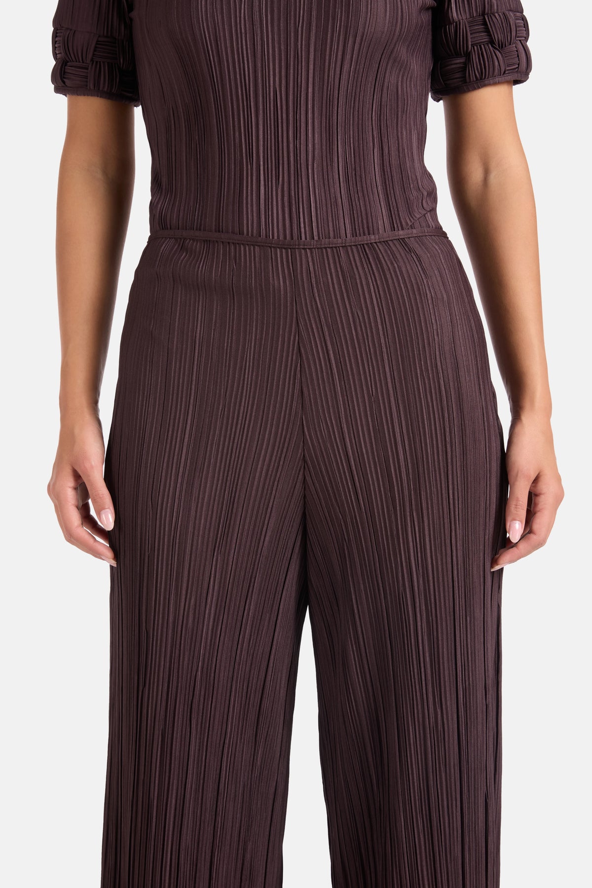 Choza Pleated Wide Legged Pants in Brown