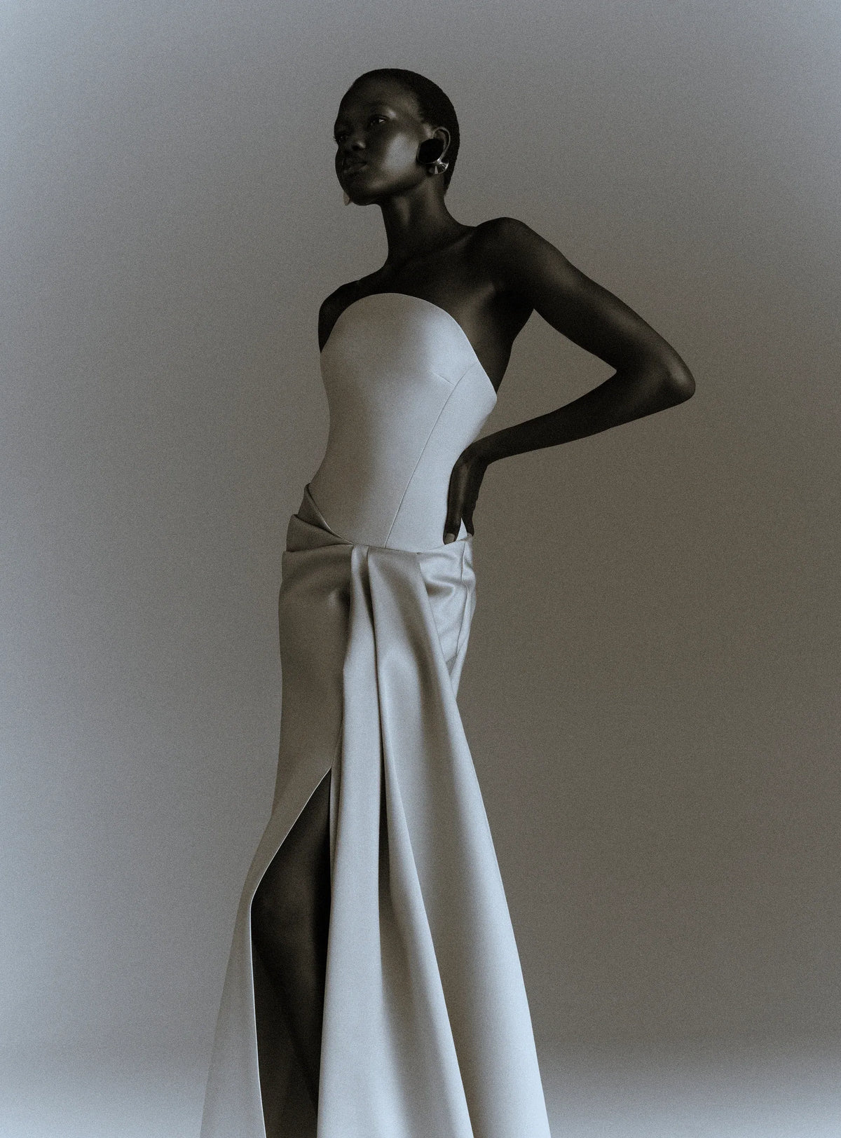 Seri Strapless Evening Dress in Silver