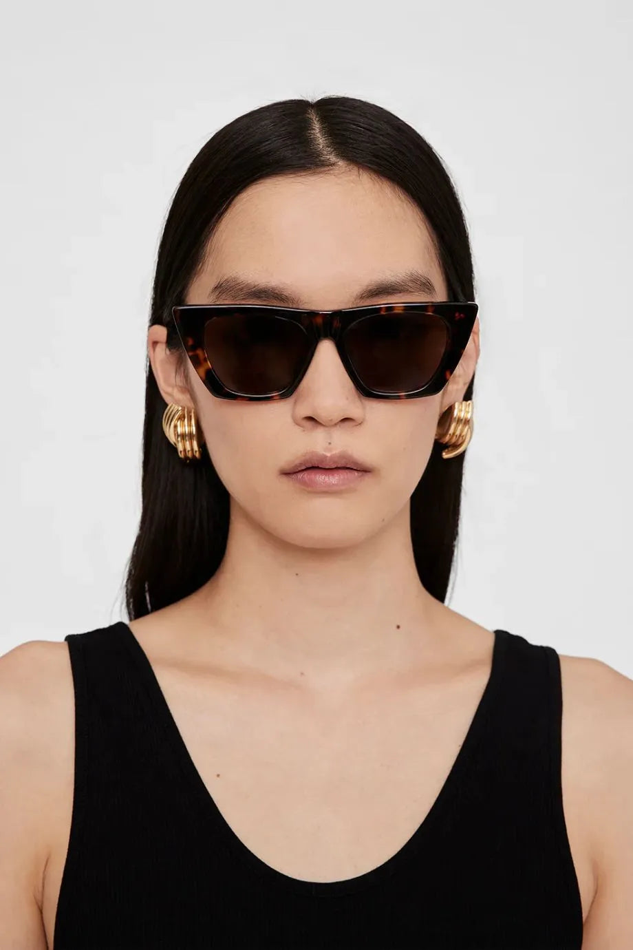 Paris Monogram Sunglasses in Brown